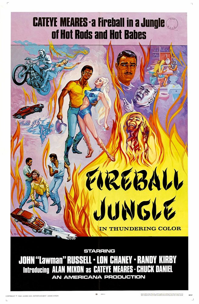 Fireball Jungle (1969) постер