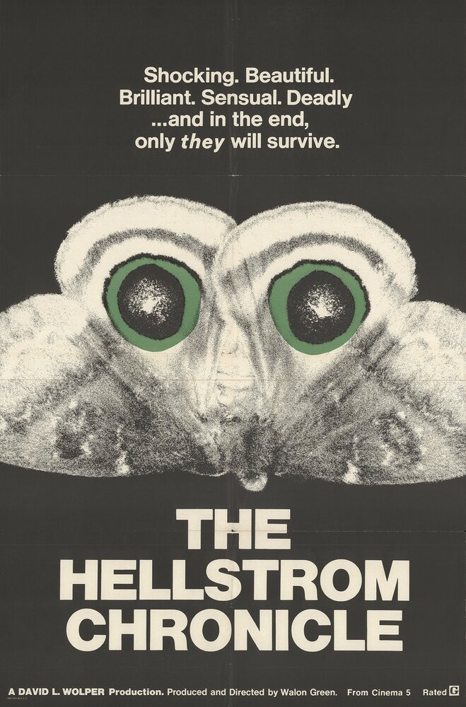 Хроники Хельстрома (1971) постер
