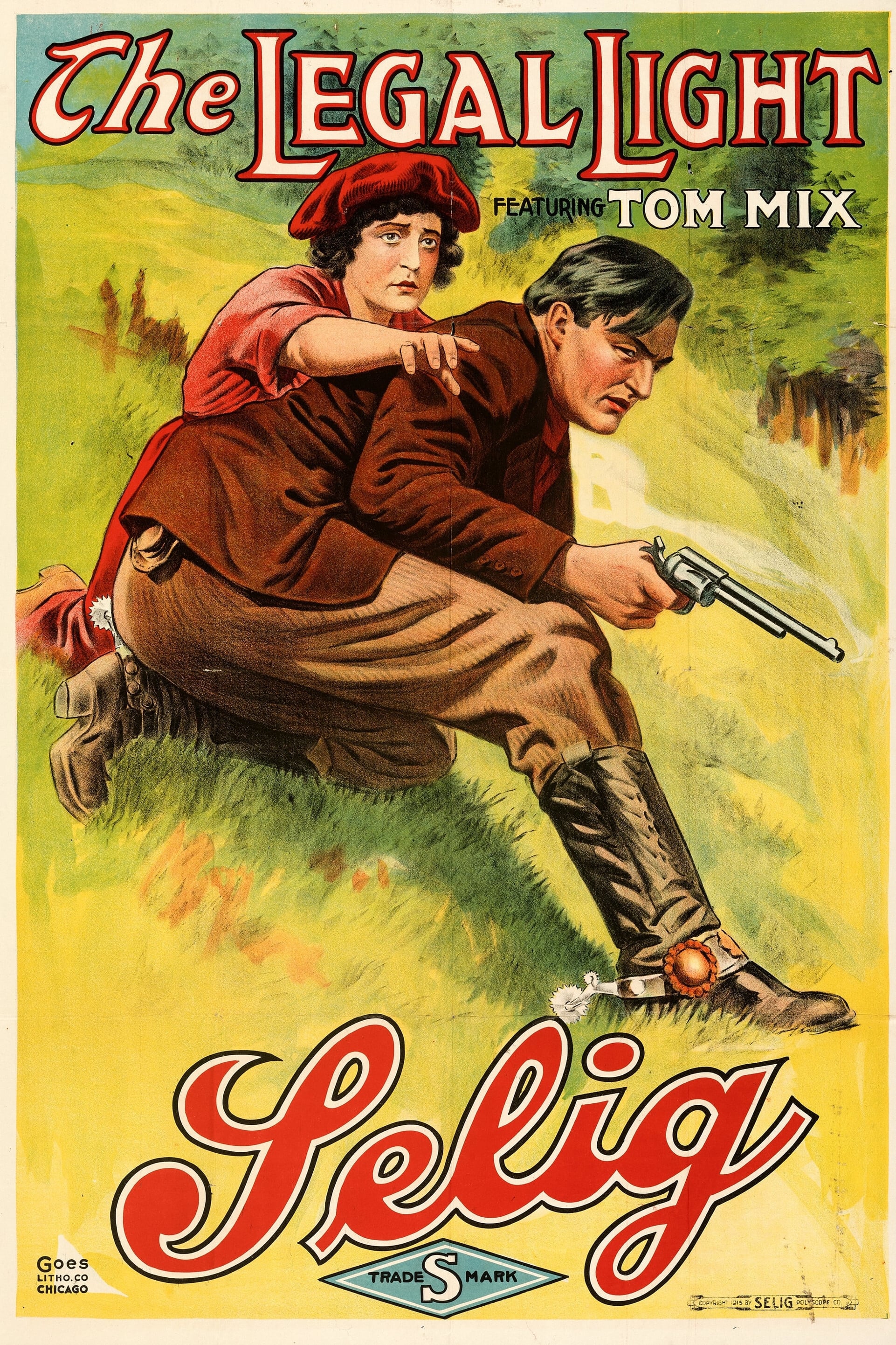 The Legal Light (1915) постер