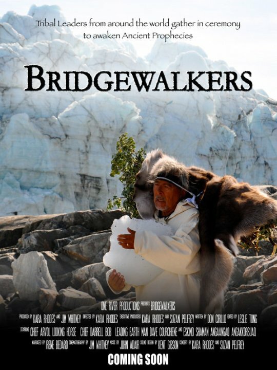 Bridgewalkers (2013) постер