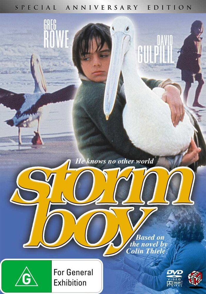 Мальчик и океан (1976) постер