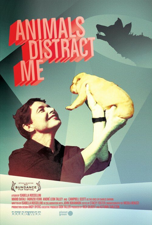 Животные меня отвлекают (2011) постер