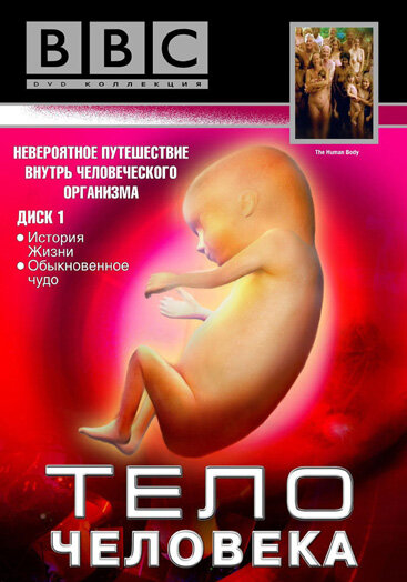 BBC: Тело человека (1998) постер