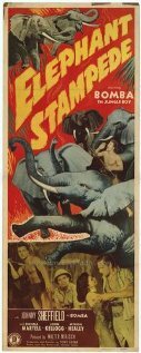 Elephant Stampede (1951) постер
