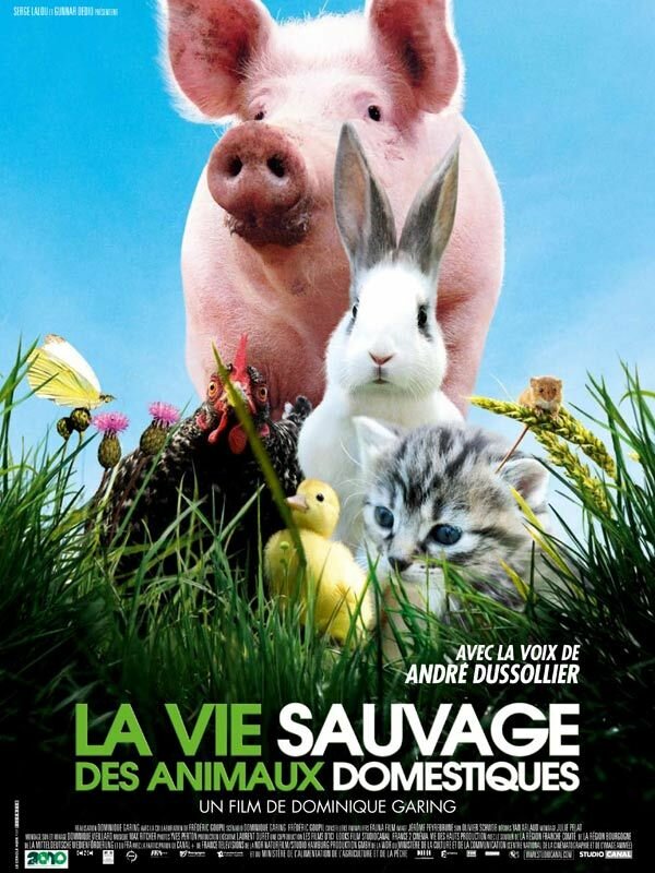 Дикая жизнь домашних животных (2009) постер
