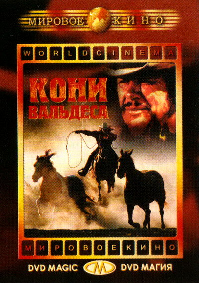 Кони Вальдеса (1973) постер