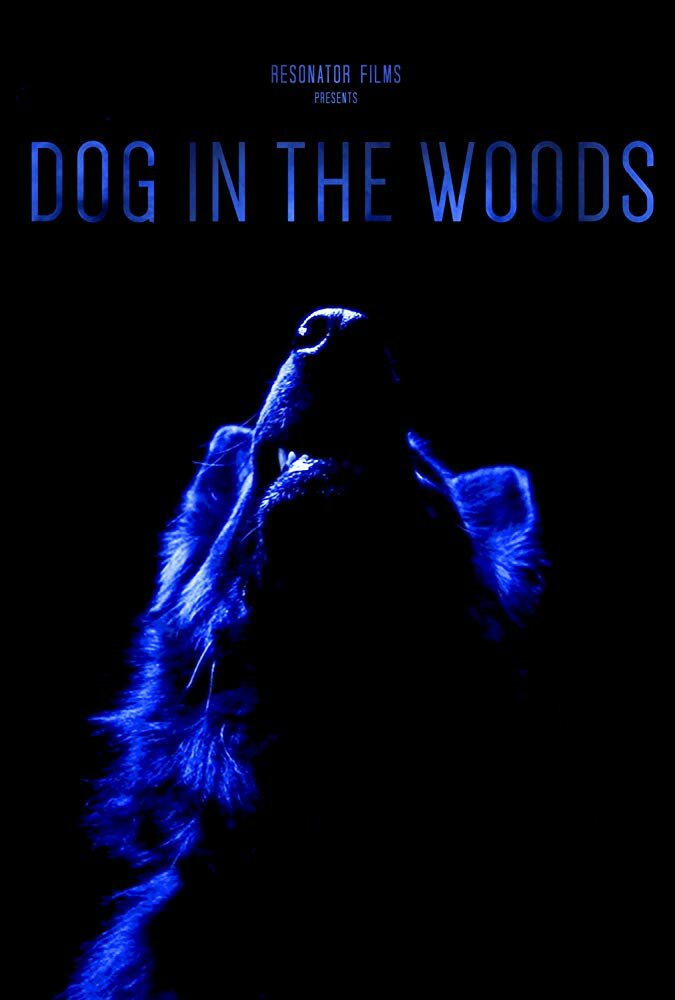 Dog in the Woods (2019) постер