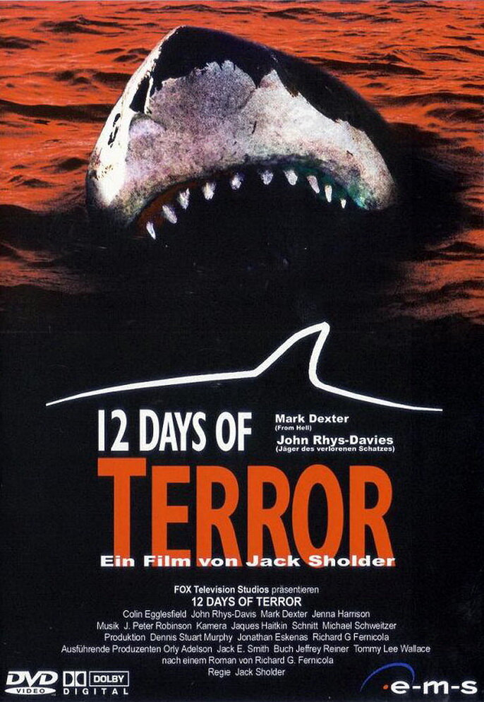 12 дней страха (2004) постер