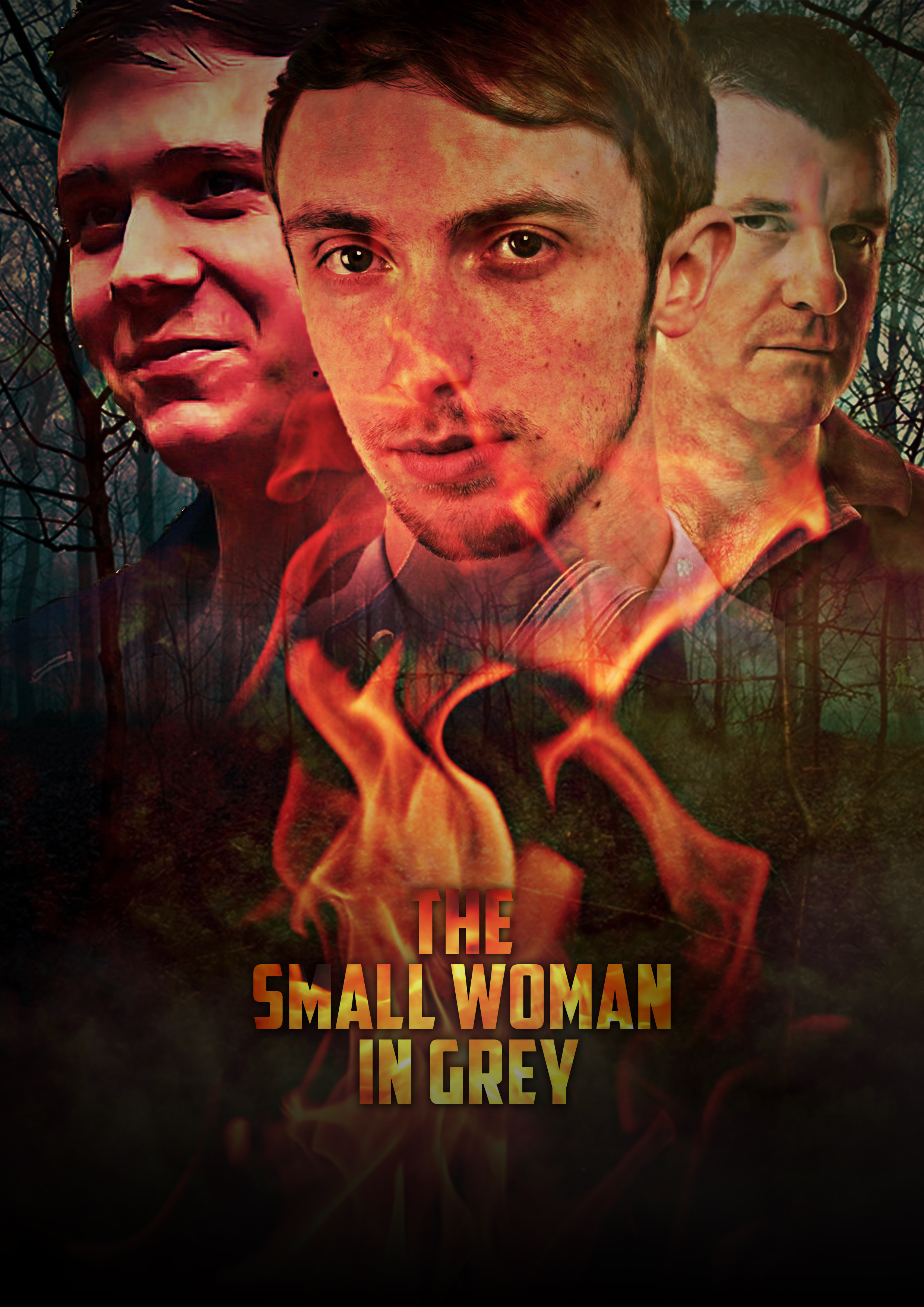 The Small Woman in Grey (2017) постер