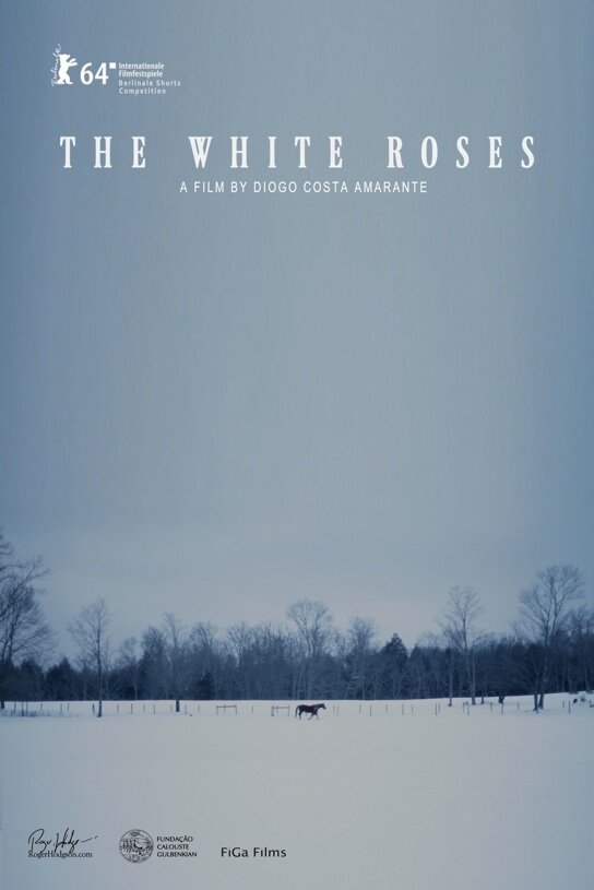 As Rosas Brancas (2014) постер