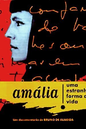 Амалия – такая вот странная жизнь (1995) постер