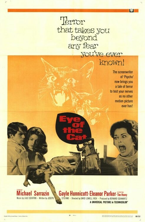 Глаз кота (1969) постер