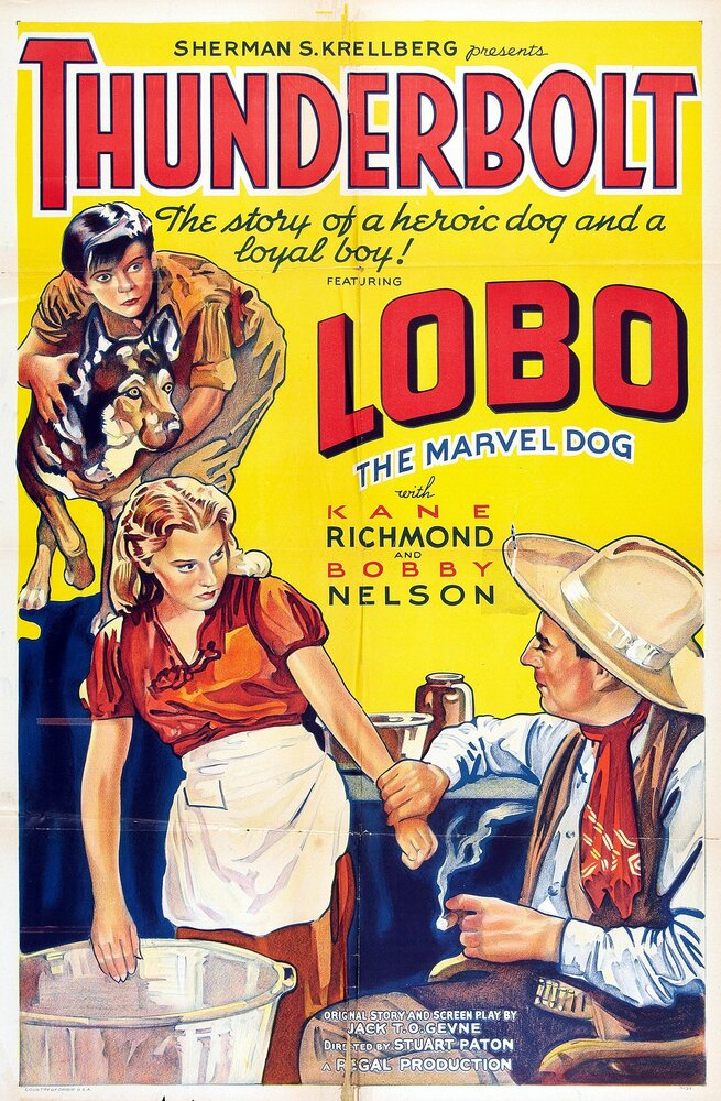 Громобой (1929) постер