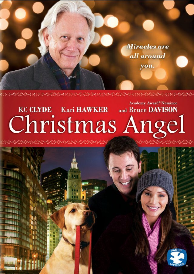 Ангел Рождества (2009) постер