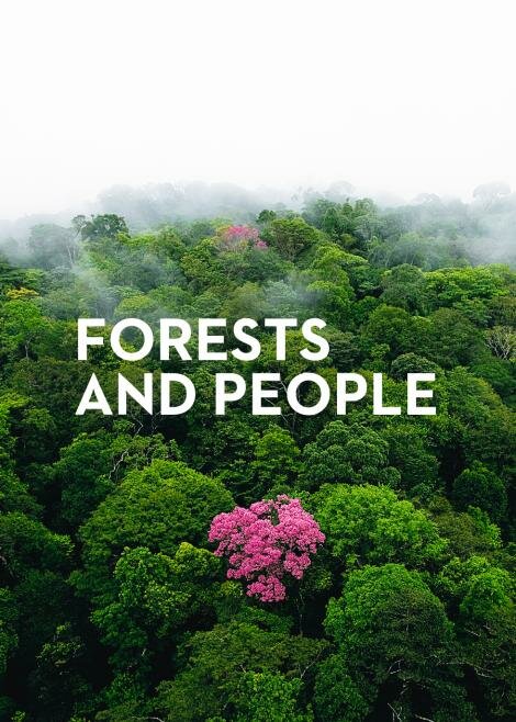 О лесах и людях (2011) постер