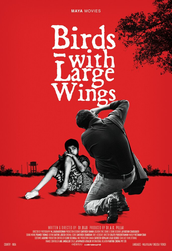 Птицы с большими крыльями (2015) постер