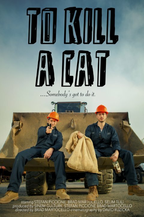 To Kill a Cat (2018) постер