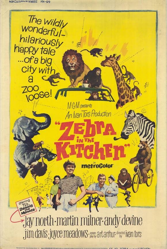 Зебра на кухне (1965) постер